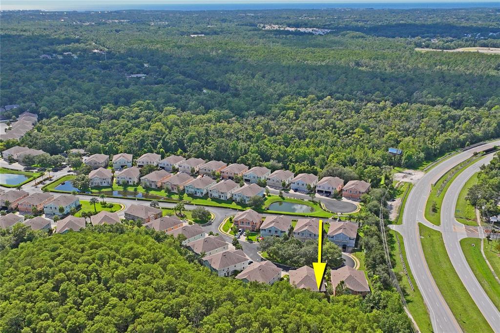 8604 Great Egret Trace New Port Richey, FL 34653 - Photo 50 of 55
