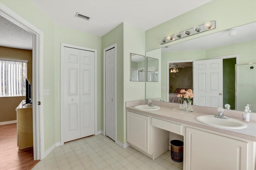 12657 Longcrest Drive Riverview, FL 33579 - Photo 22 of 55 a bathroom with a sink and a mirror