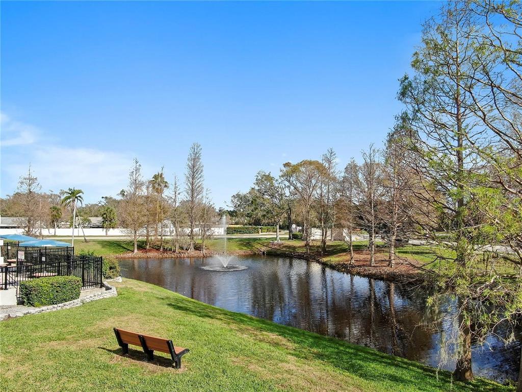 12657 Longcrest Drive Riverview, FL 33579 - Photo 46 of 55