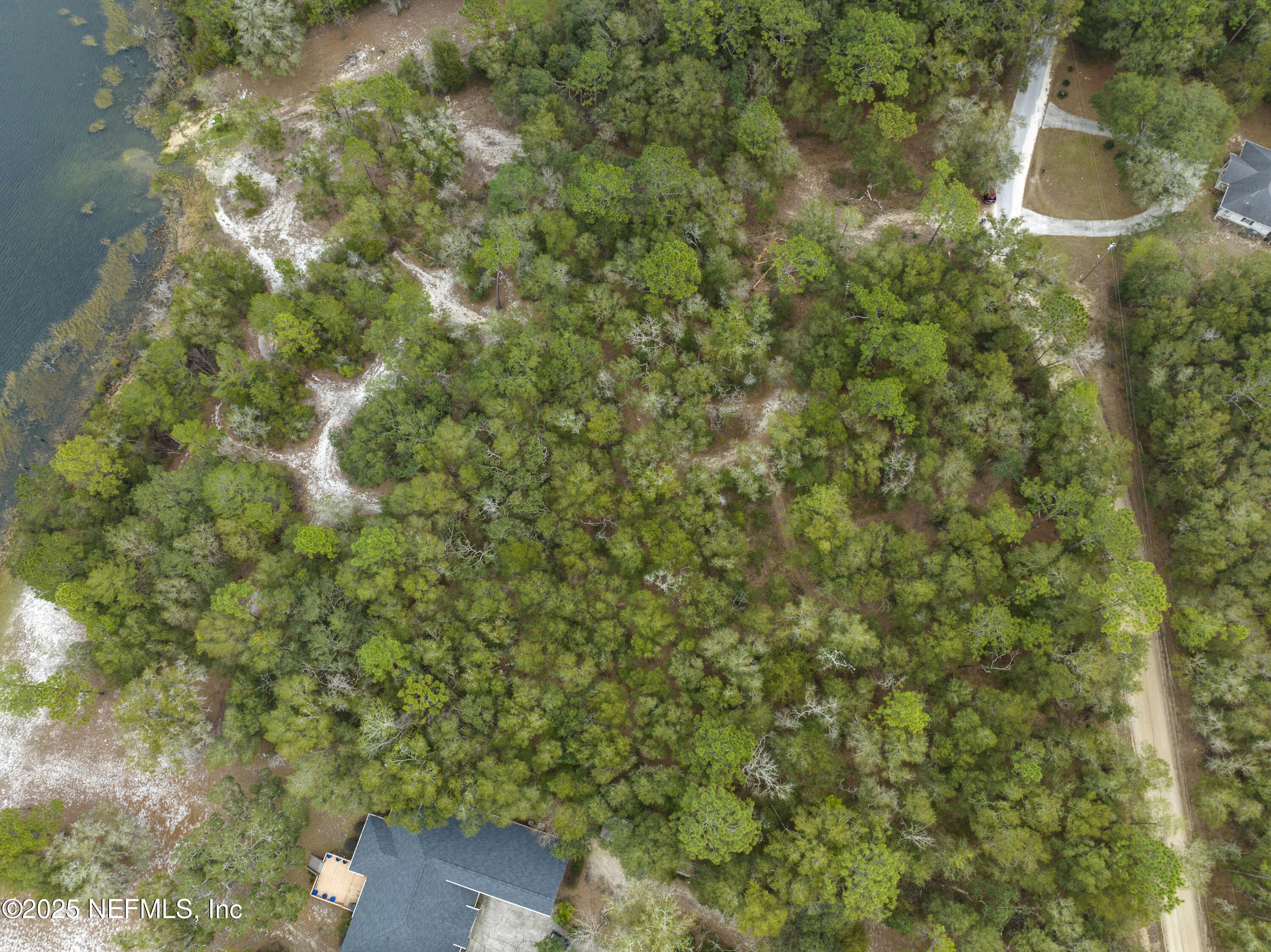 0 Southeast 46th Loop Keystone Heights, FL 32656 - Photo 5 of 7 a view of a house with a tree