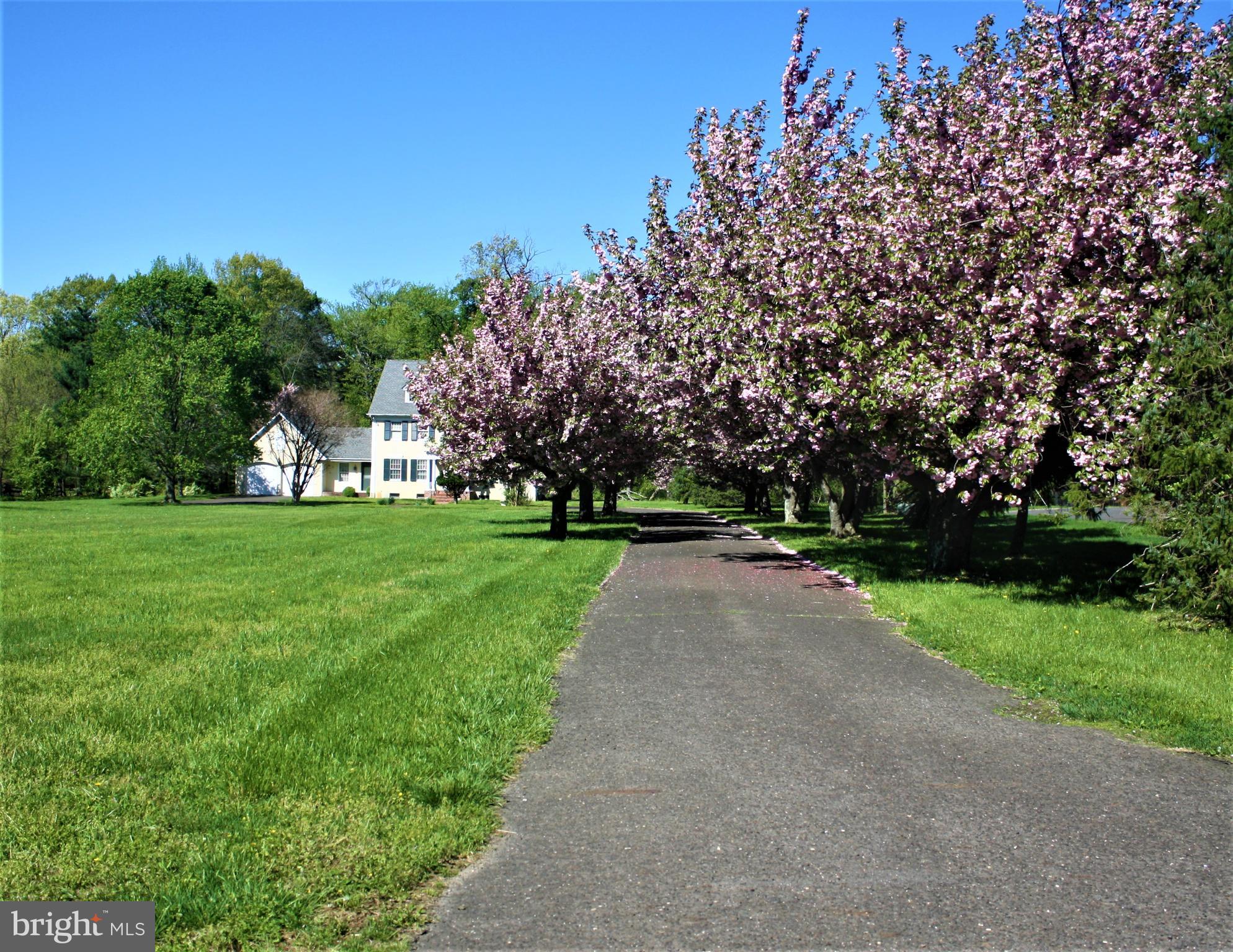 667 Garwood Road Moorestown, NJ 08057 - Photo 2 of 34 Cherry tree lined driveway