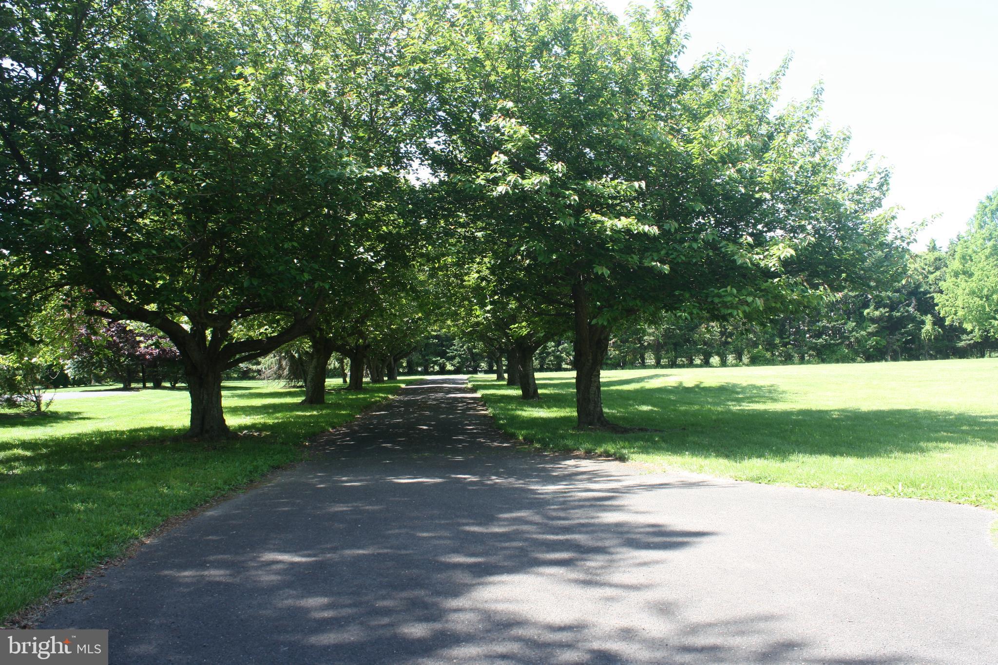 667 Garwood Road Moorestown, NJ 08057 - Photo 27 of 34 Gallery Image 27