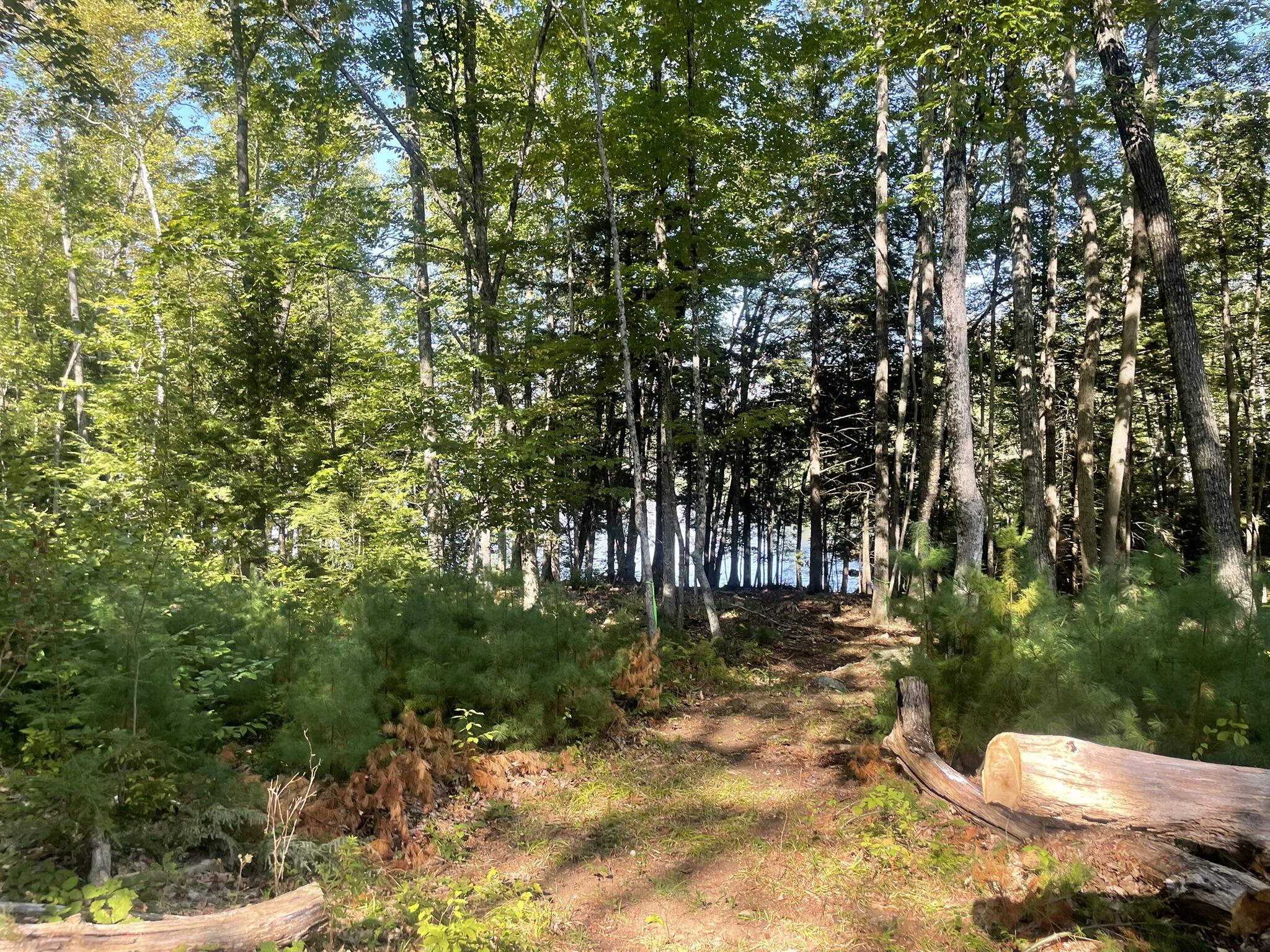 0 Route9-126 Road Litchfield, ME 04350 - Photo 95 of 105