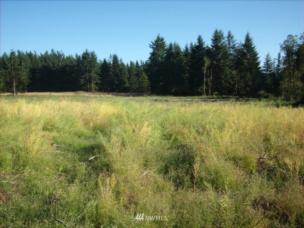 15120 Vantine Road Southeast Tenino, WA 98589 - Photo 3 of 9 Gallery Image 3