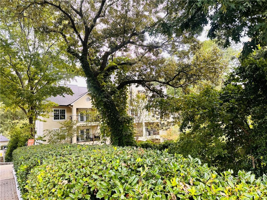 3655 Habersham Road Northeast, Unit 131 Atlanta, GA 30305 - Photo 12 of 26