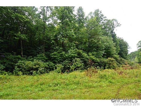 999 Frozen Creek Road Brevard, NC 28712 - Photo 2 of 4