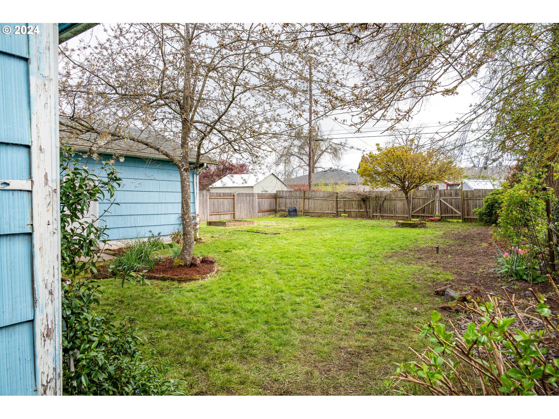 1159 M Street Springfield, OR 97477 - Photo 4 of 16 a view of a house with a yard