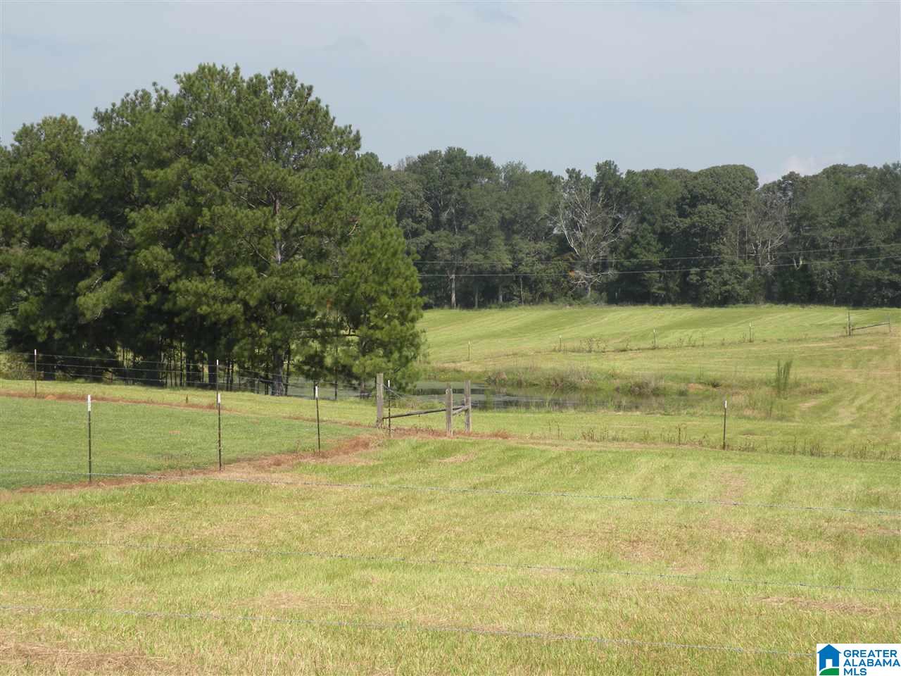 413 Truss Ferry Road Lincoln, AL 35096 - Photo 30 of 36