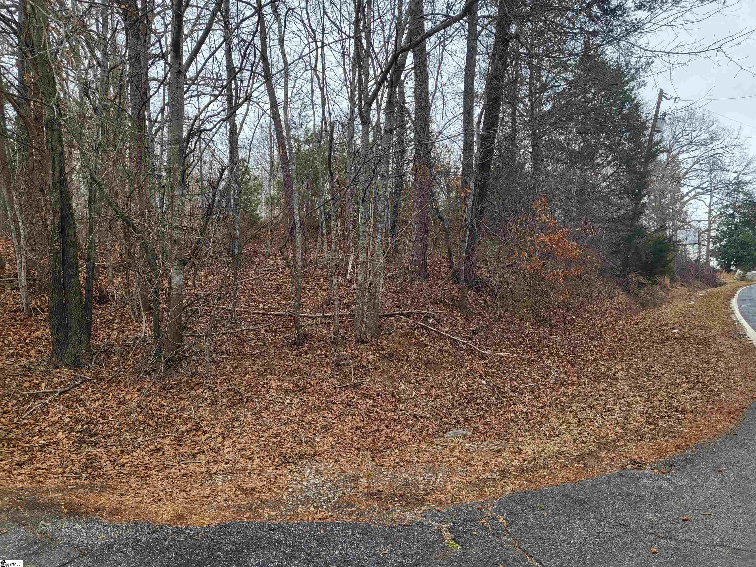 0 Campbell Covered Bridge Road Landrum, SC 29356 - Photo 3 of 5
