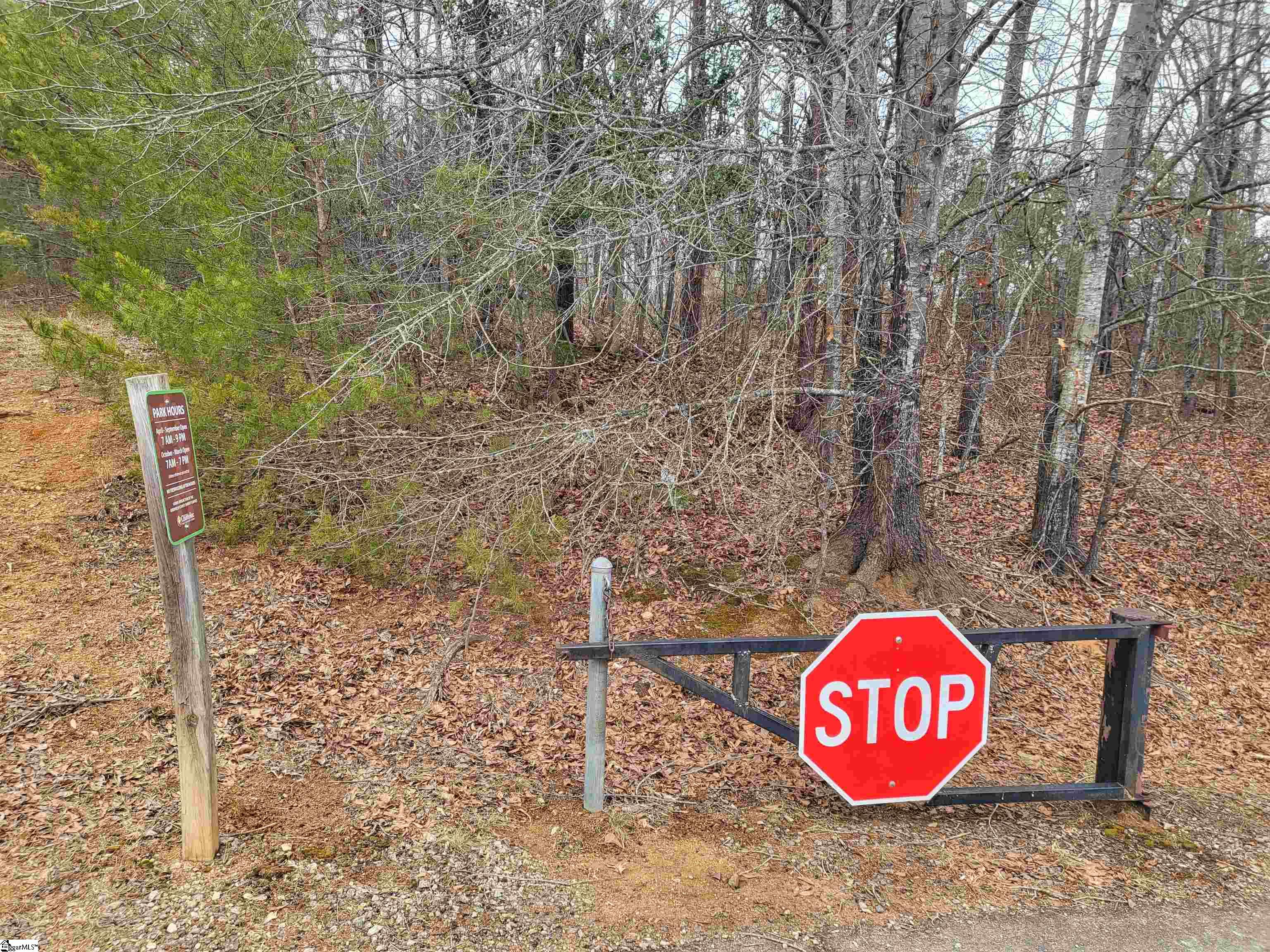 0 Campbell Covered Bridge Road Landrum, SC 29356 - Photo 4 of 5