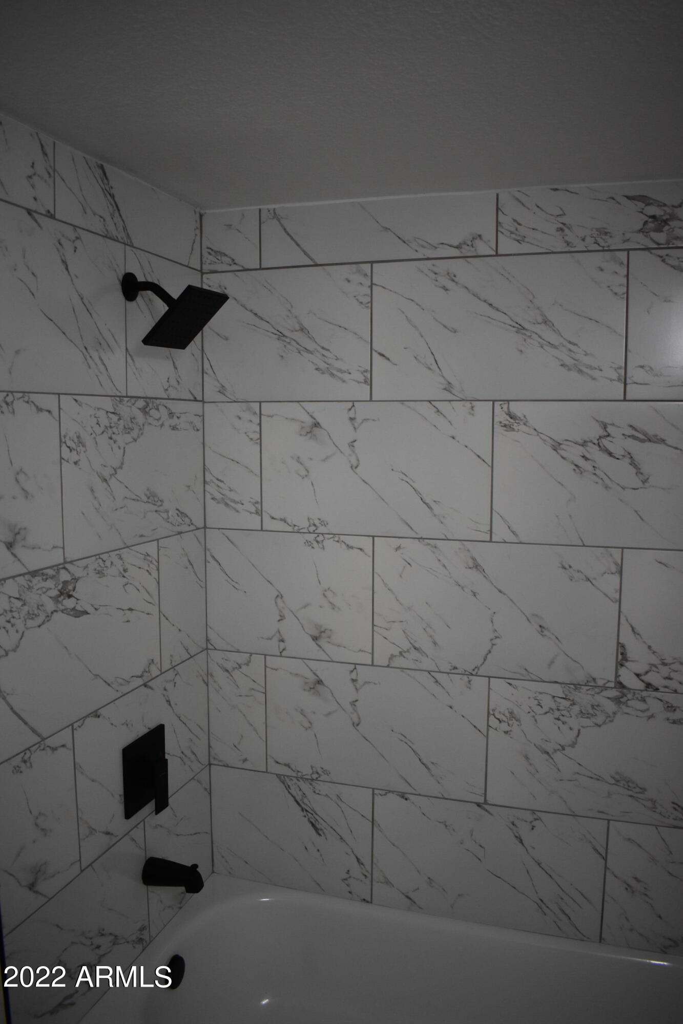 2855 South Ext Road, Unit 135 Mesa, AZ 85210 - Photo 12 of 19 a bathroom with a shower