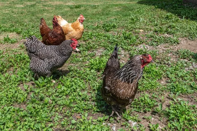 $375,000 | 528 Highway 121, Windham, VT 05148