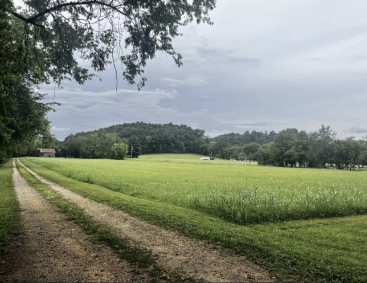 8626 Mt Joy Road Mount Pleasant, TN 38474 - Photo 1 of 1 Gallery Image 1