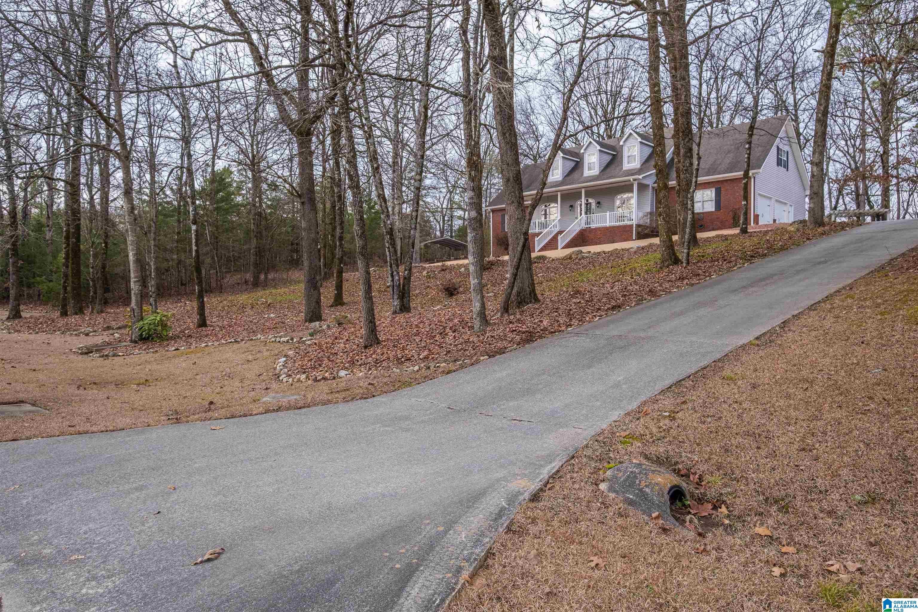 313 Chestnut Lane Alabaster, AL 35007 - Photo 3 of 60