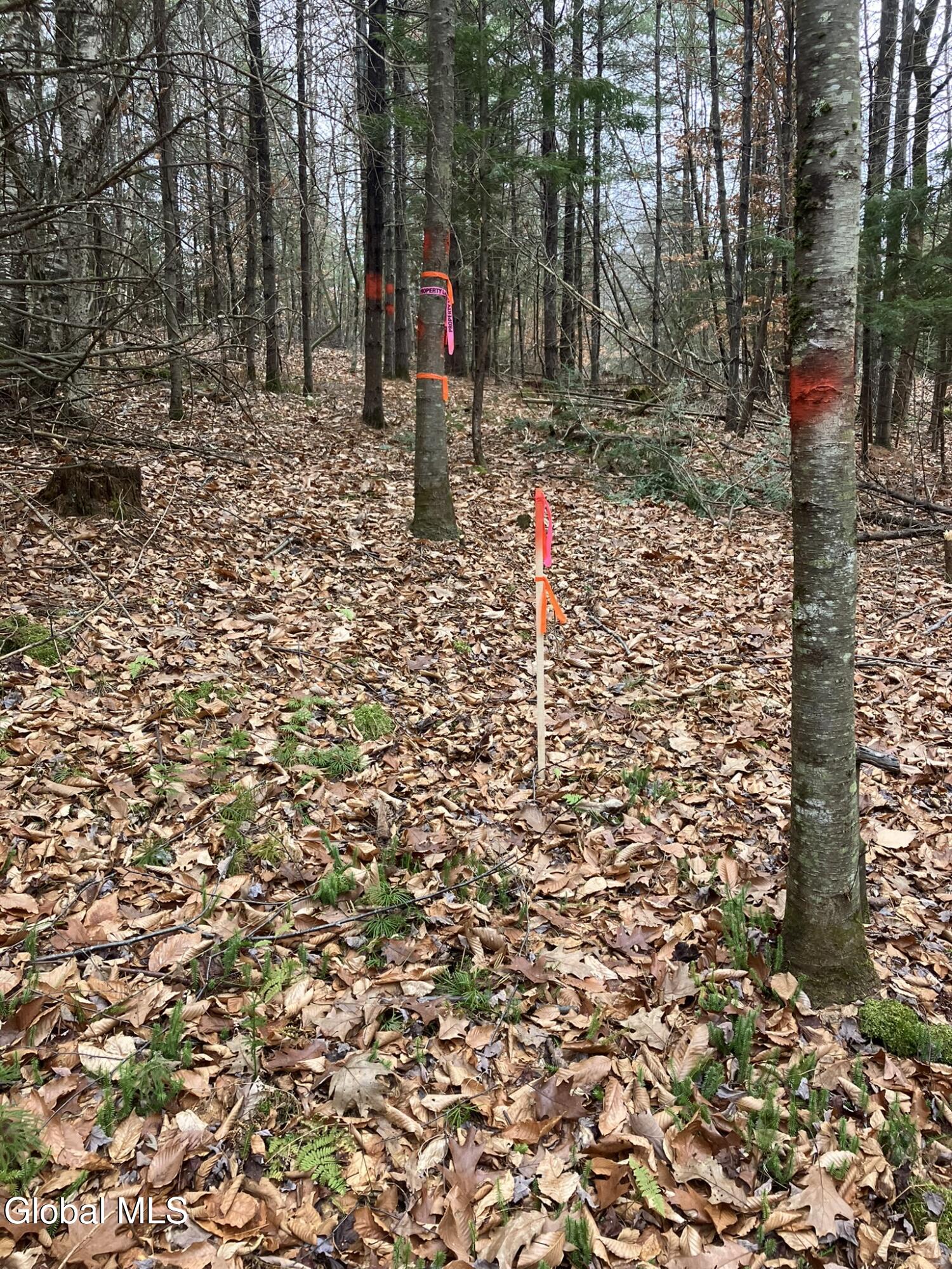 0 Scofield Road Lake Luzerne, NY 12846 - Photo 12 of 16 Markers everywhere