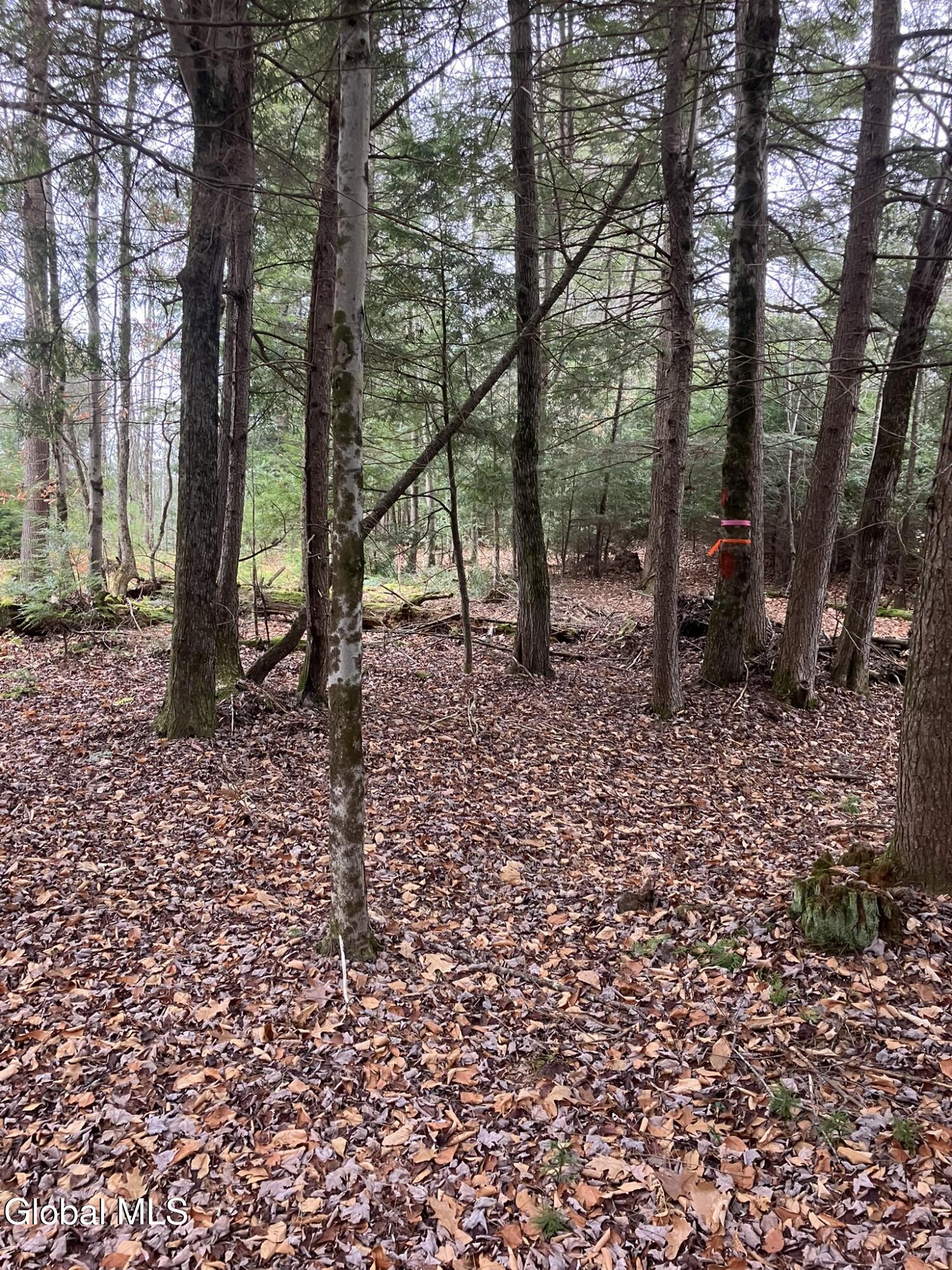 0 Scofield Road Lake Luzerne, NY 12846 - Photo 15 of 16 One of a kind