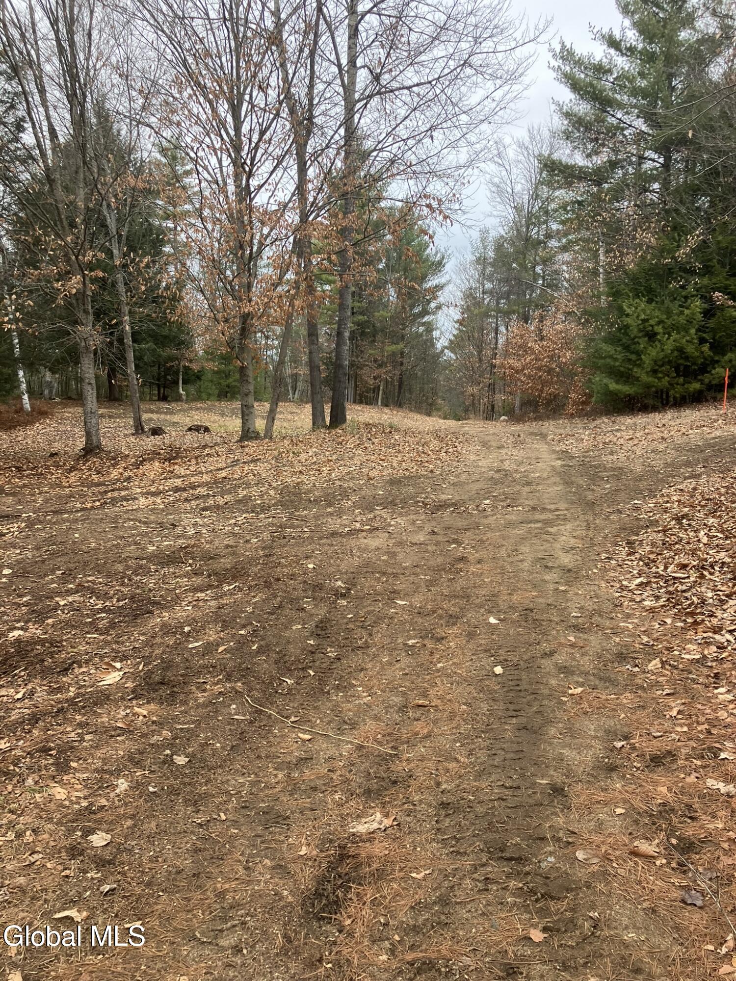 0 Scofield Road Lake Luzerne, NY 12846 - Photo 2 of 16 This is an amazing property