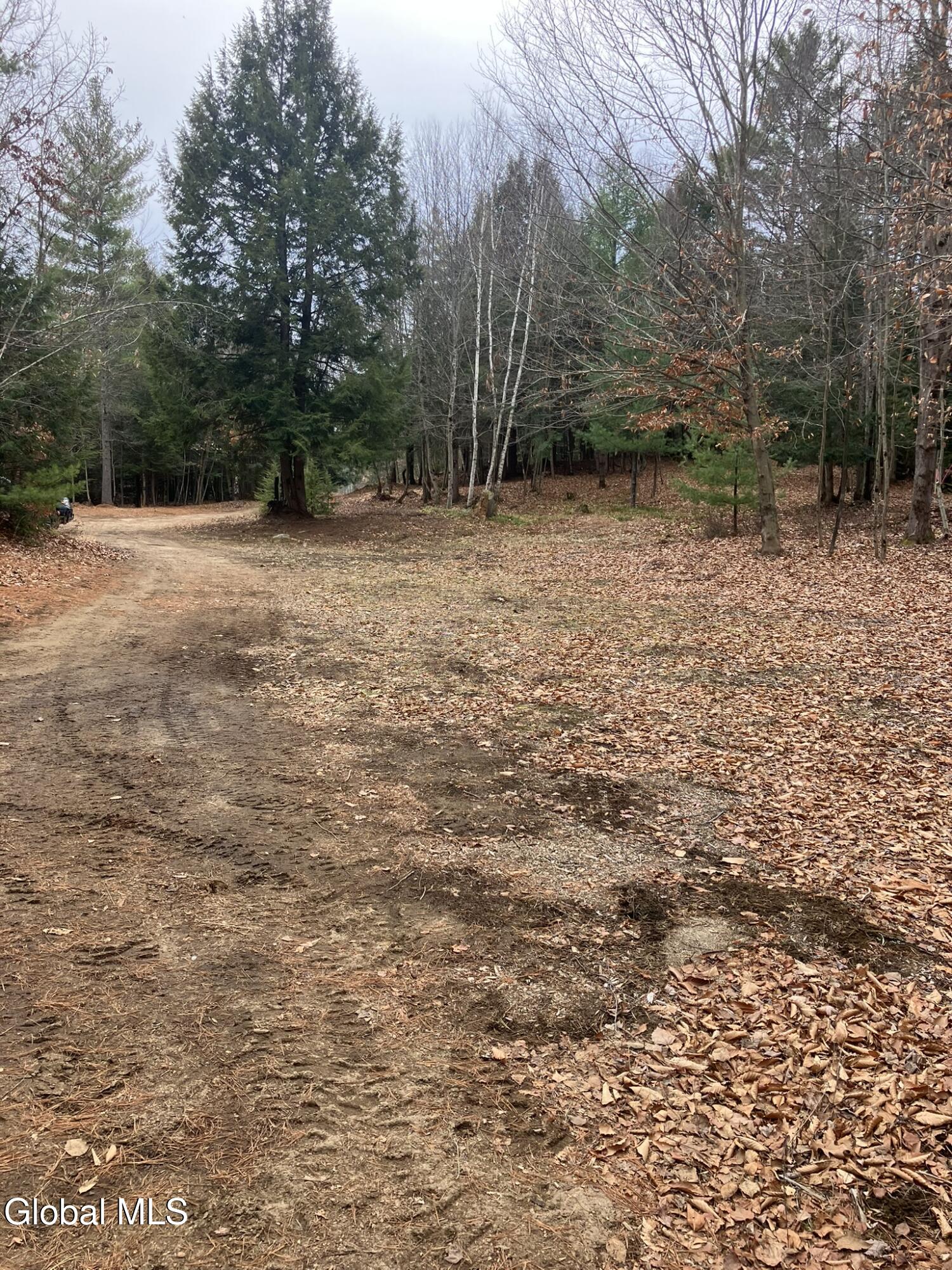 0 Scofield Road Lake Luzerne, NY 12846 - Photo 3 of 16 Imagine your home here