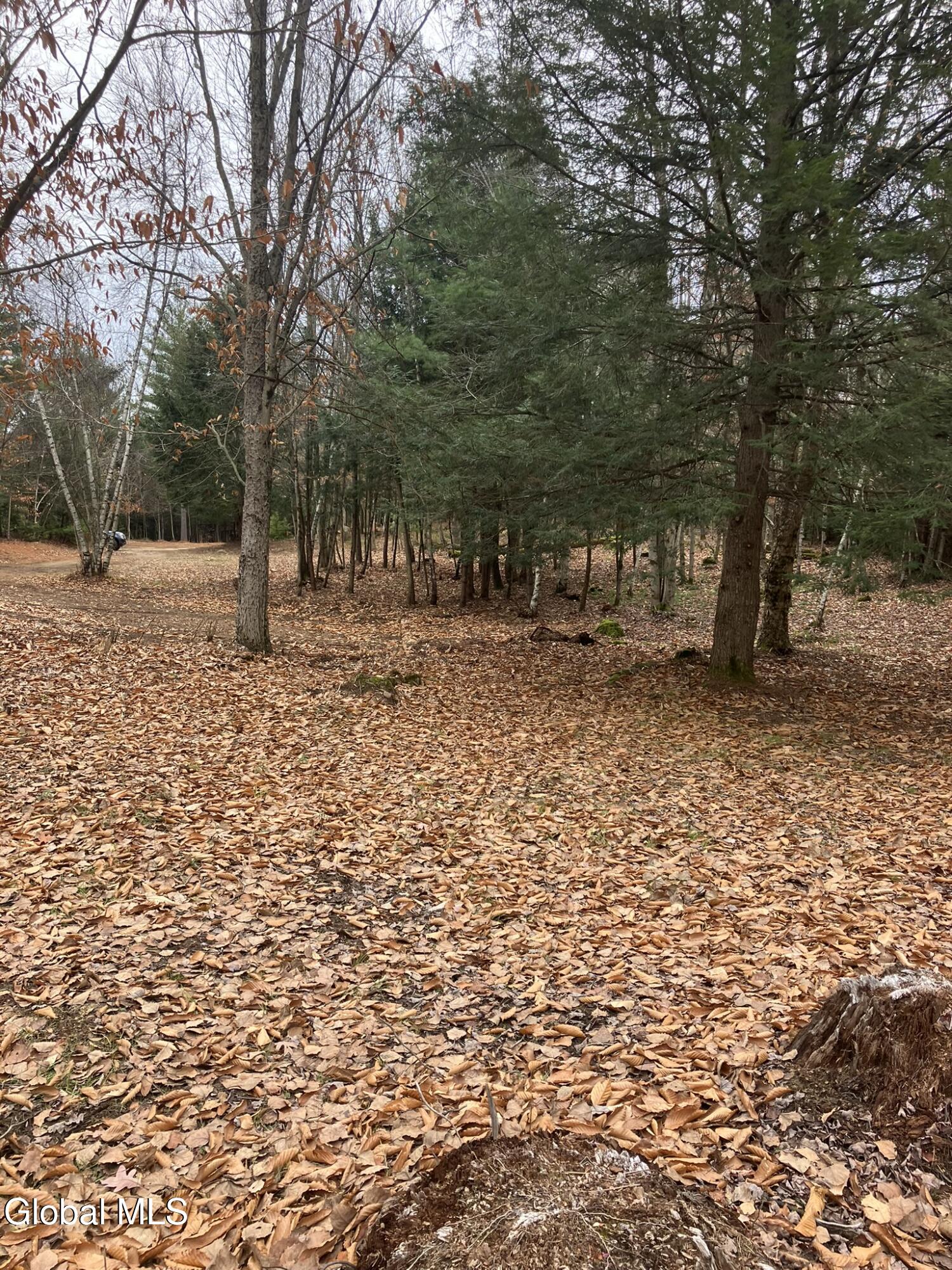 0 Scofield Road Lake Luzerne, NY 12846 - Photo 4 of 16 Nestled in pure bliss