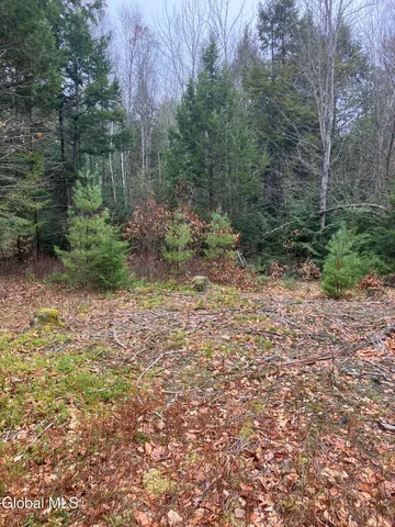 $199,000 | 0 Scofield Road, Lake Luzerne, NY 12846