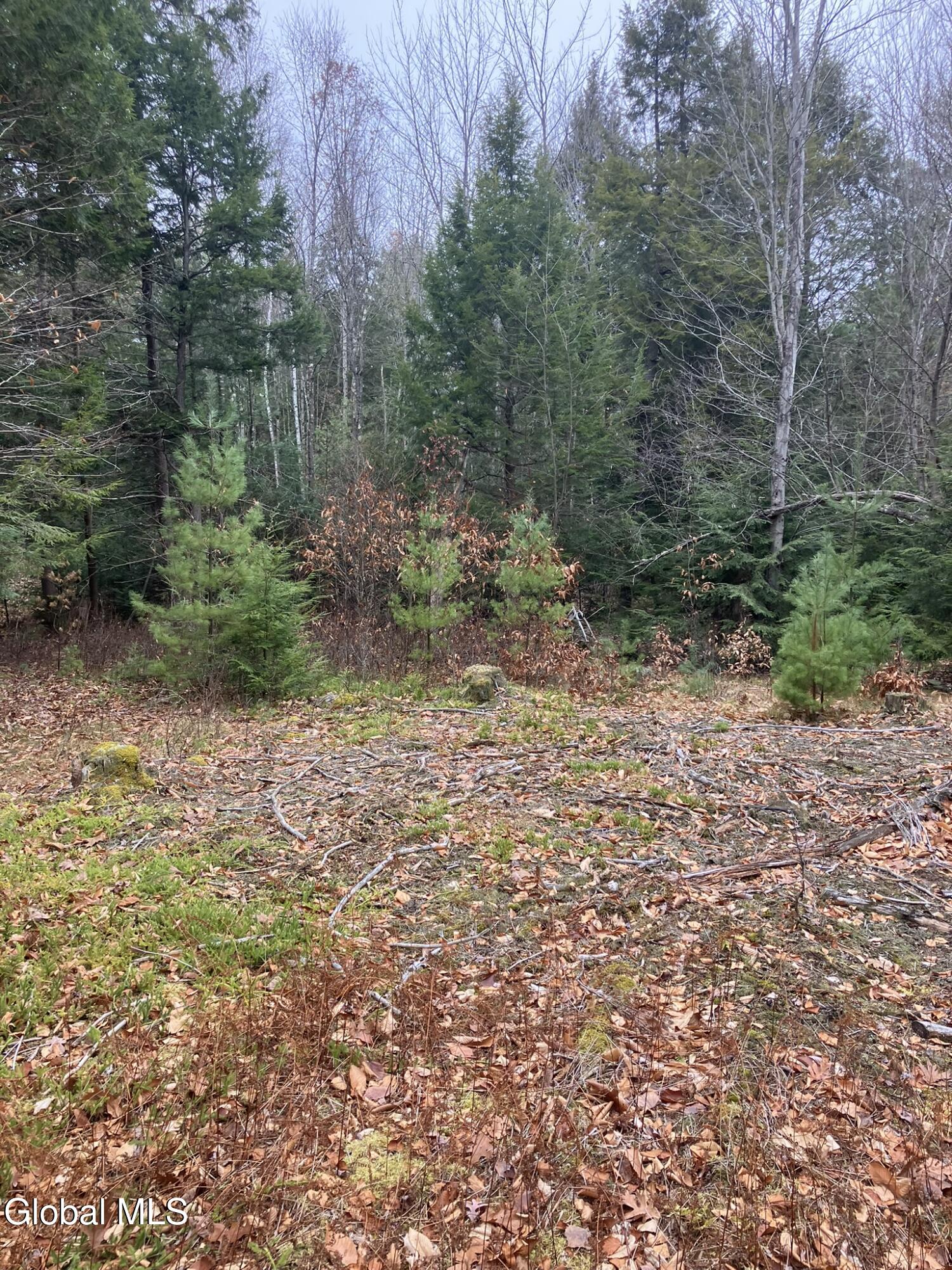 0 Scofield Road Lake Luzerne, NY 12846 - Photo 6 of 16 Nor the peacefulness