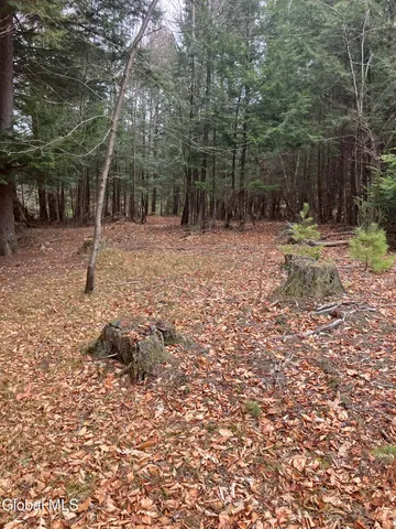 $199,000 | 0 Scofield Road, Lake Luzerne, NY 12846