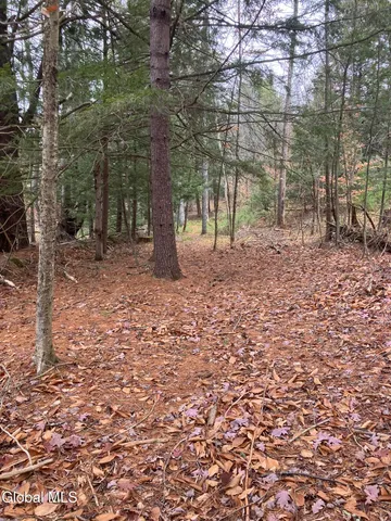 $199,000 | 0 Scofield Road, Lake Luzerne, NY 12846