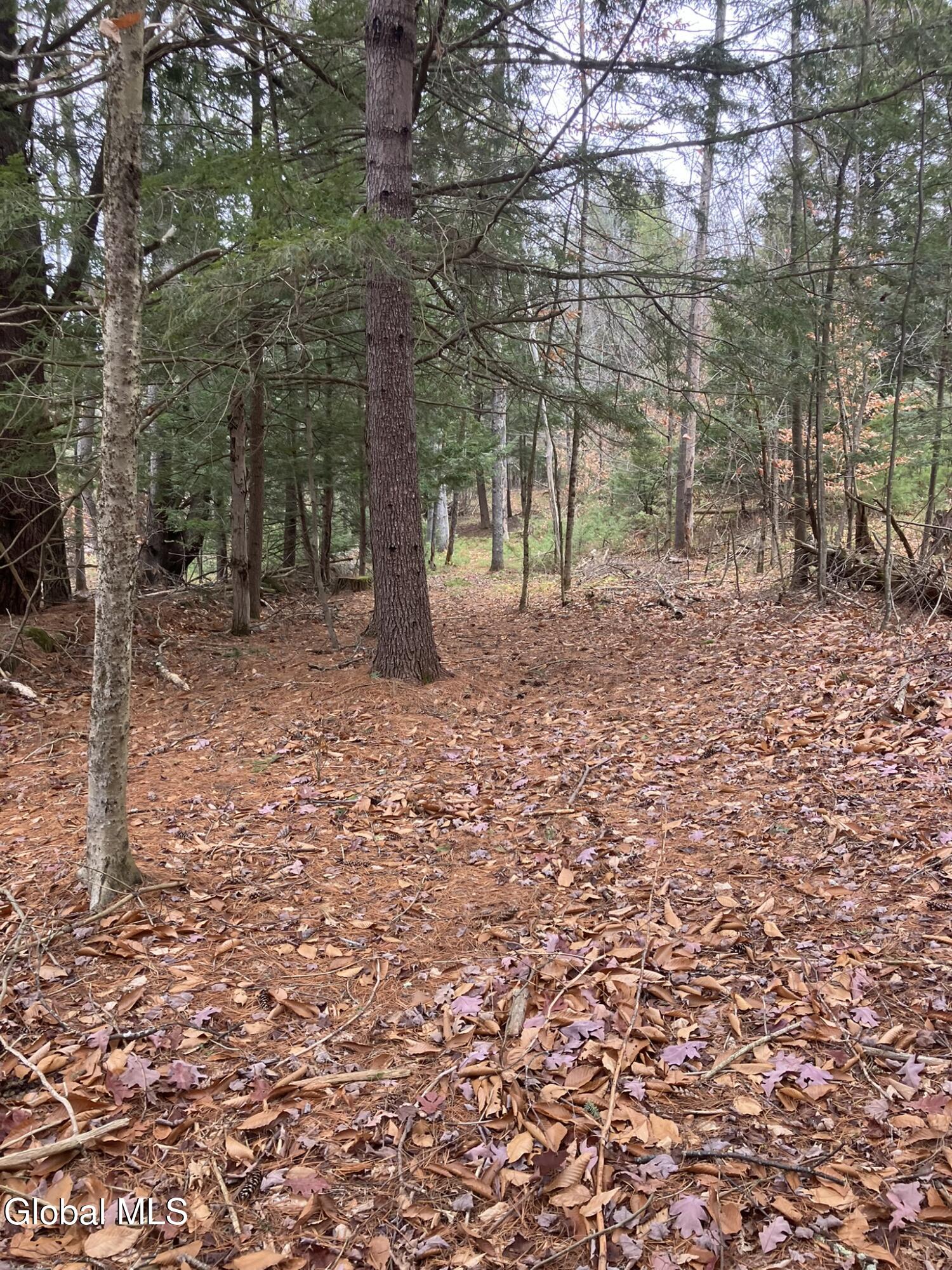 0 Scofield Road Lake Luzerne, NY 12846 - Photo 8 of 16 Beautiful clearings