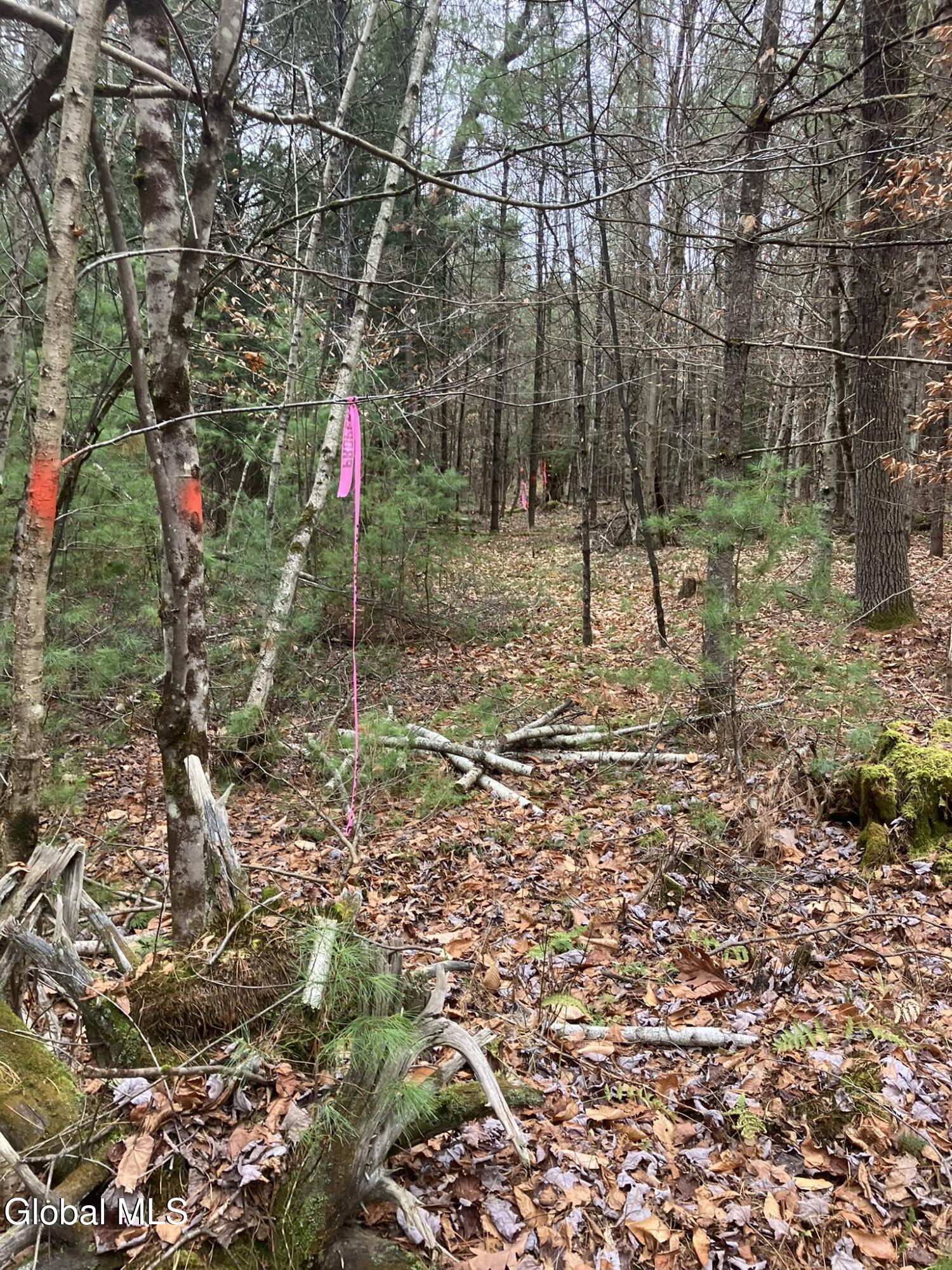 0 Scofield Road Lake Luzerne, NY 12846 - Photo 9 of 16 Distinctively marked