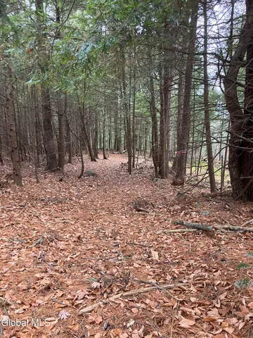 $199,000 | 0 Scofield Road, Lake Luzerne, NY 12846