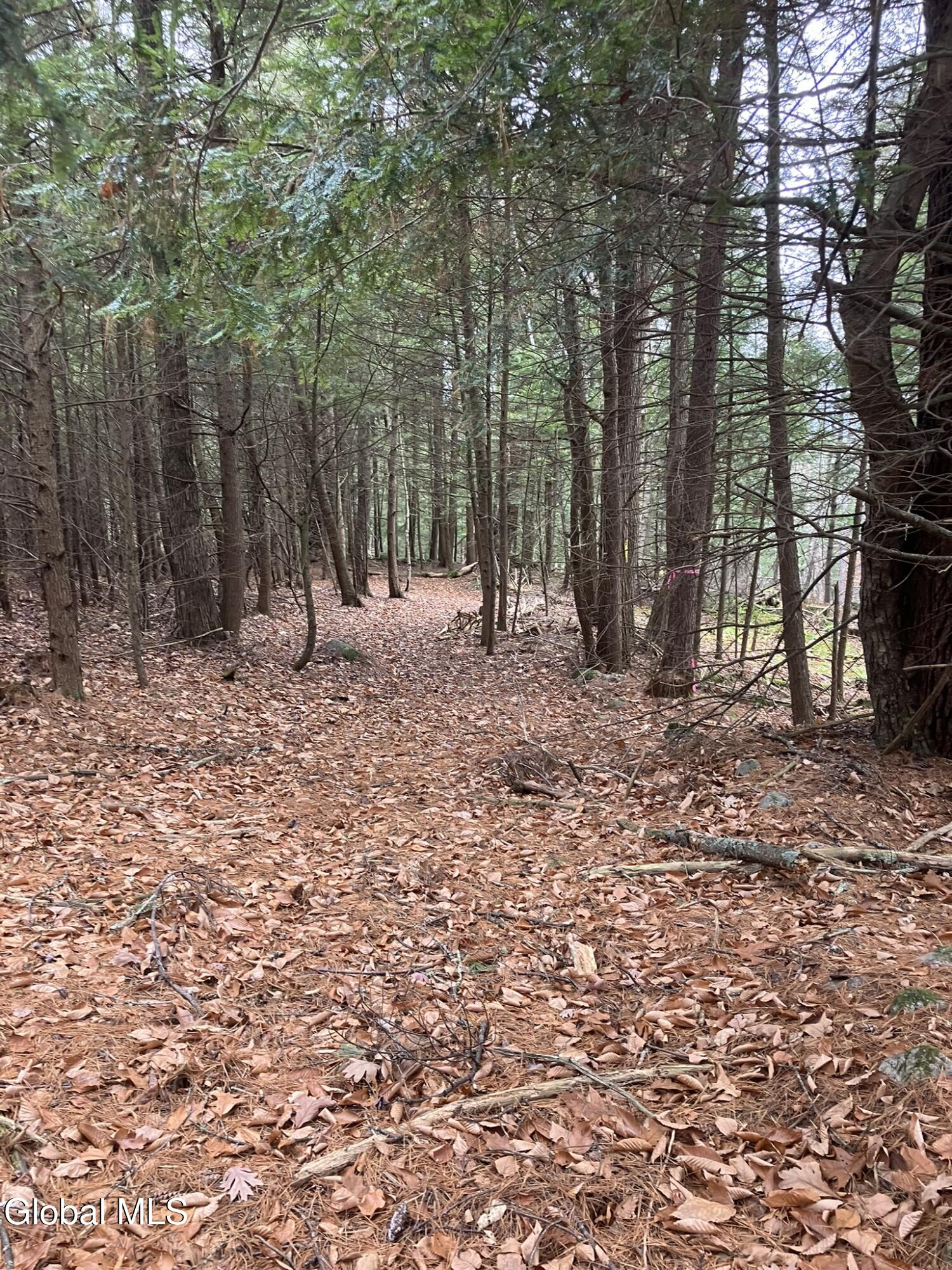 0 Scofield Road Lake Luzerne, NY 12846 - Photo 10 of 16 Survey completed