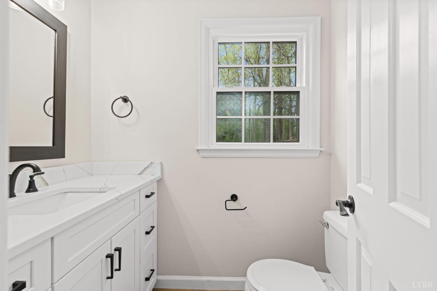 2252 Coffee Road Lynchburg, VA 24503 - Photo 41 of 93 a bathroom with a toilet sink a mirror and a window