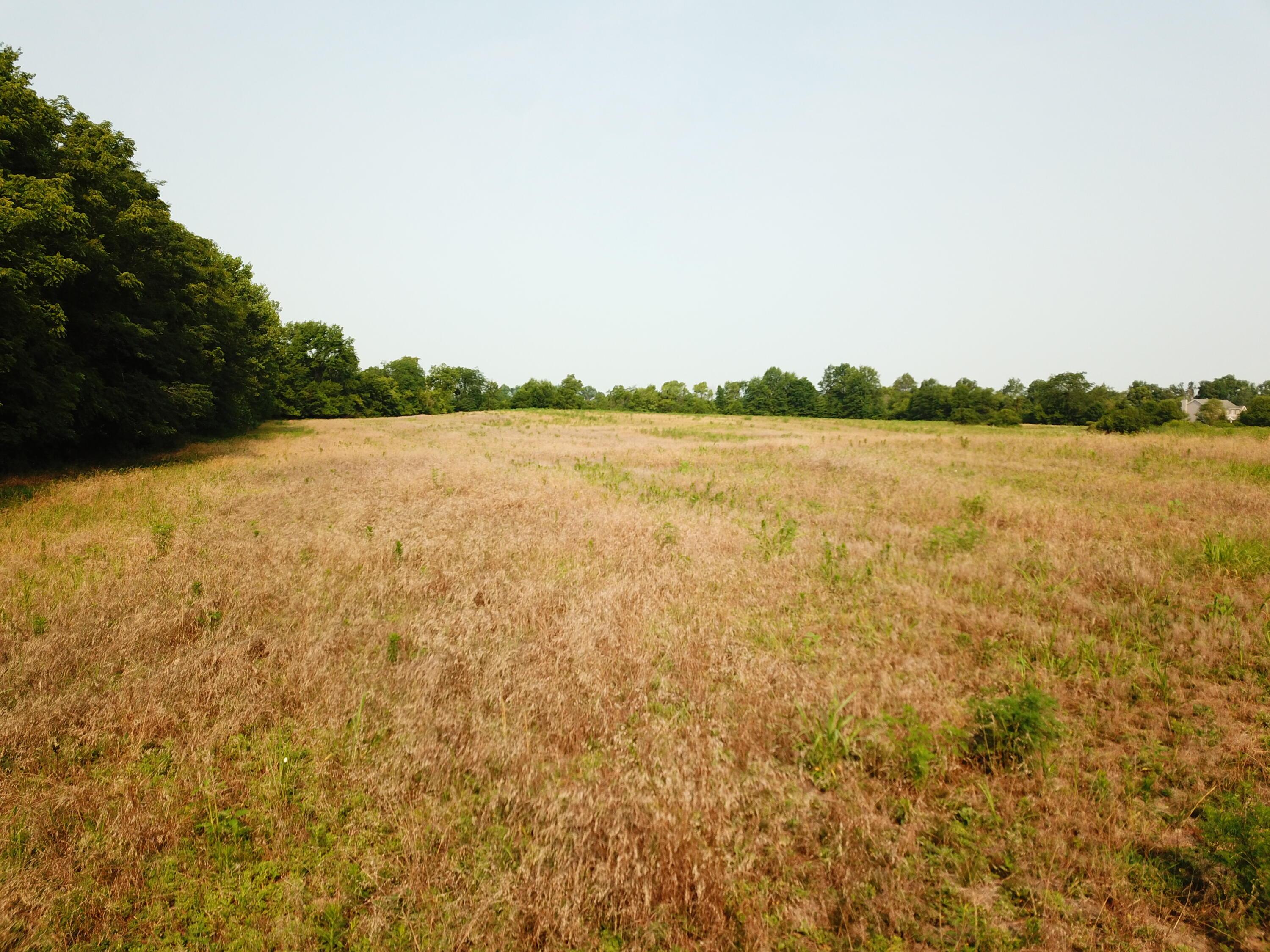 0 Brindle Road Ostrander, OH 43061 - Photo 3 of 9 DJI_0328
