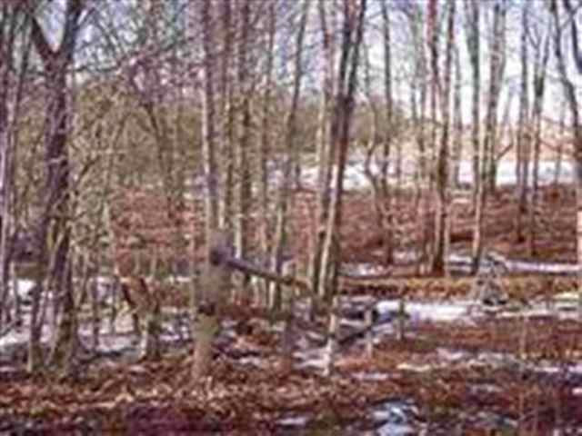 73 Beechwood Road Hoosick Falls, NY 12090 - Photo 6 of 12 Photo 6