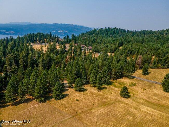 13534 South Ridgeview Drive Harrison, ID 83833 - Photo 9 of 70 011_bb193731-11_27