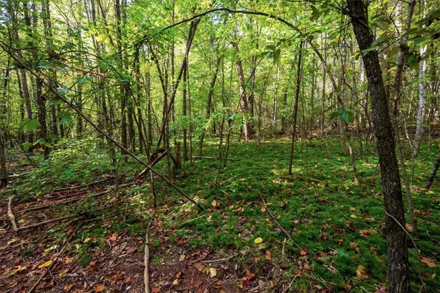 $885,000 | 286 Nostradamus Court, Salem, SC 29676