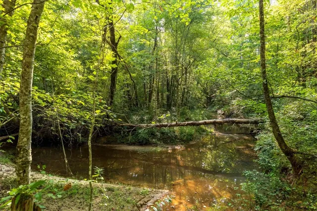 $885,000 | 286 Nostradamus Court, Salem, SC 29676