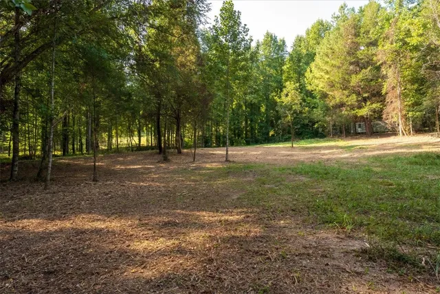 $885,000 | 286 Nostradamus Court, Salem, SC 29676