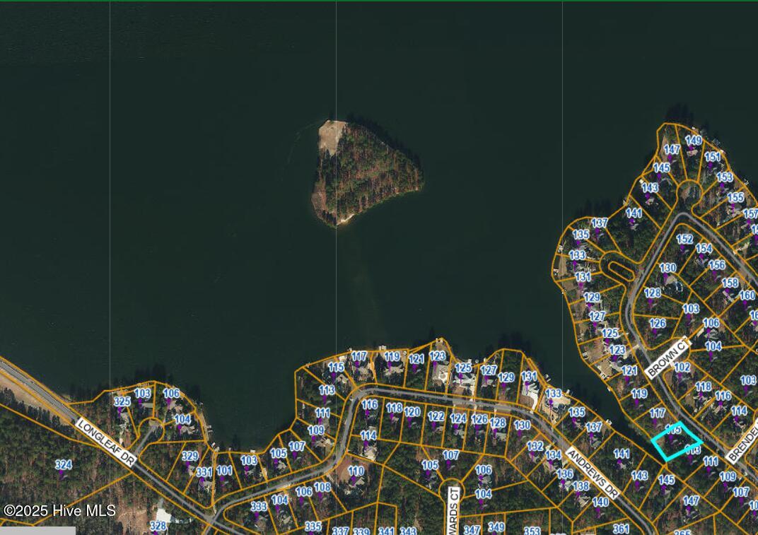 115 Baker Circle West End, NC 27376 - Photo 45 of 60 Screenshot 2025-06-20 134841