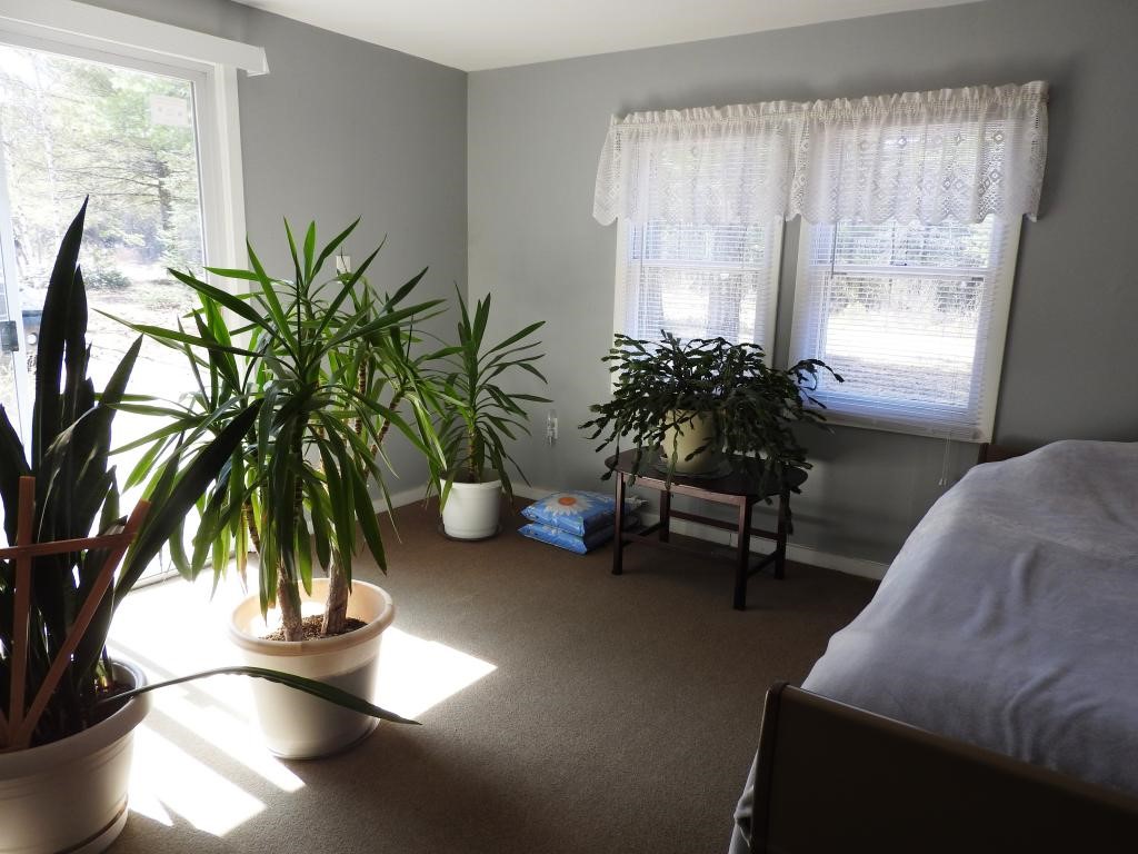 4 Norway Road Ossipee, NH 03814 - Photo 2 of 17