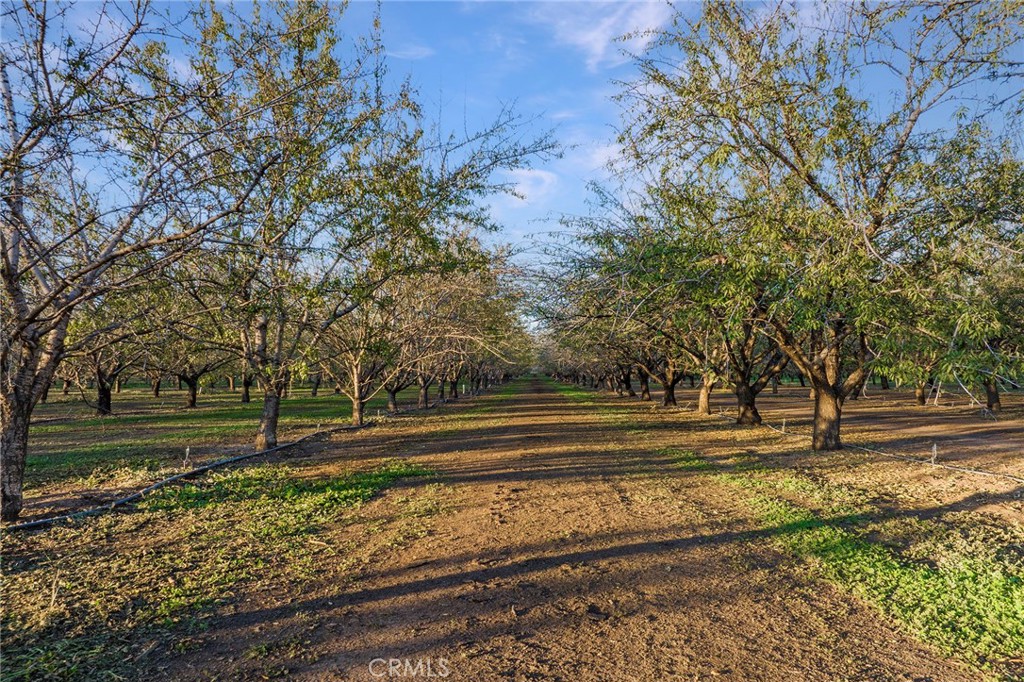 0 Burdick Road Durham, CA 95938 - Photo 1 of 1 Gallery Image 1