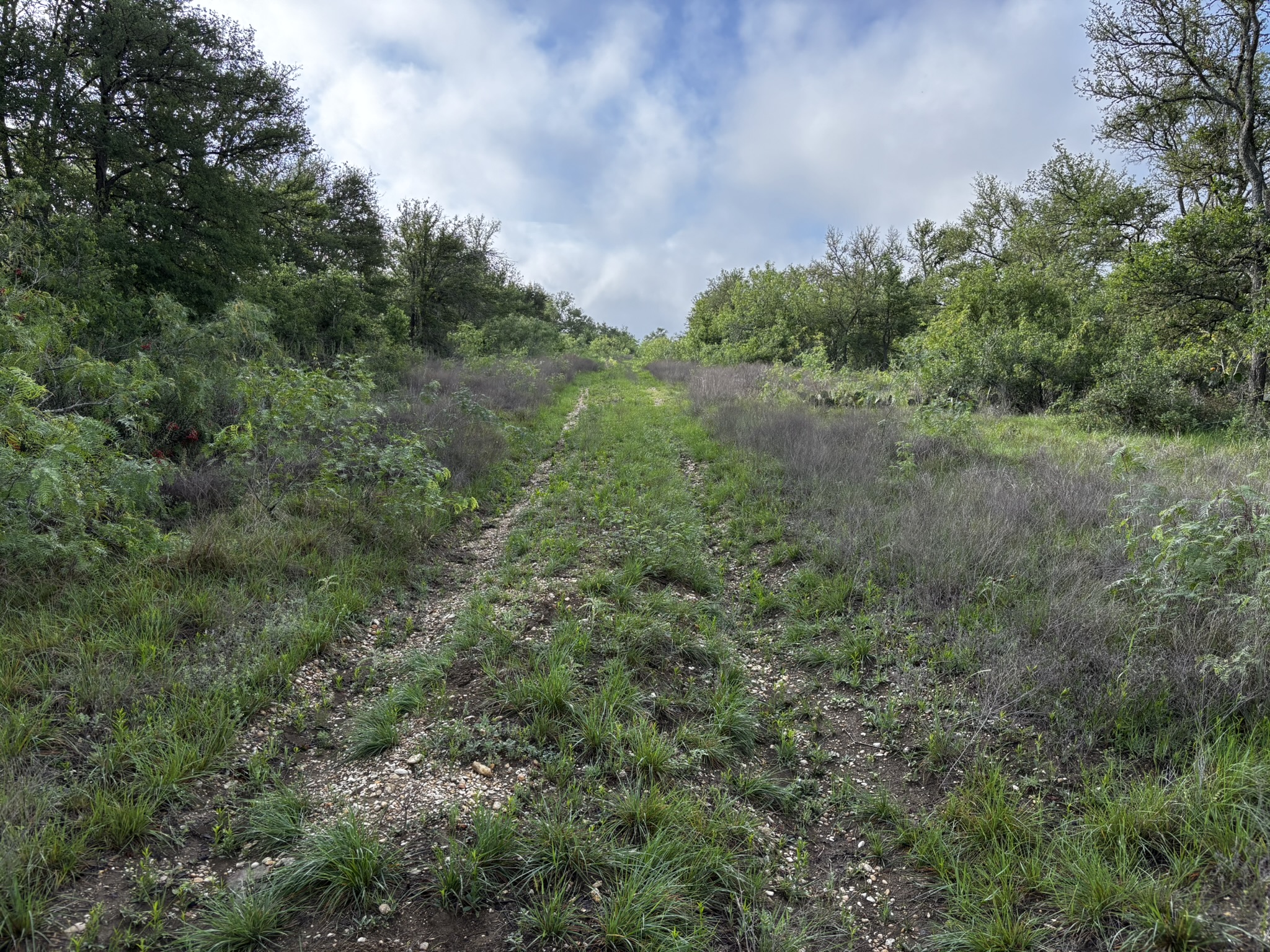 683 County Road 467 Elgin, TX 78621 - Photo 1 of 26 Unpaved pathway ascending a sloped, natural landscape