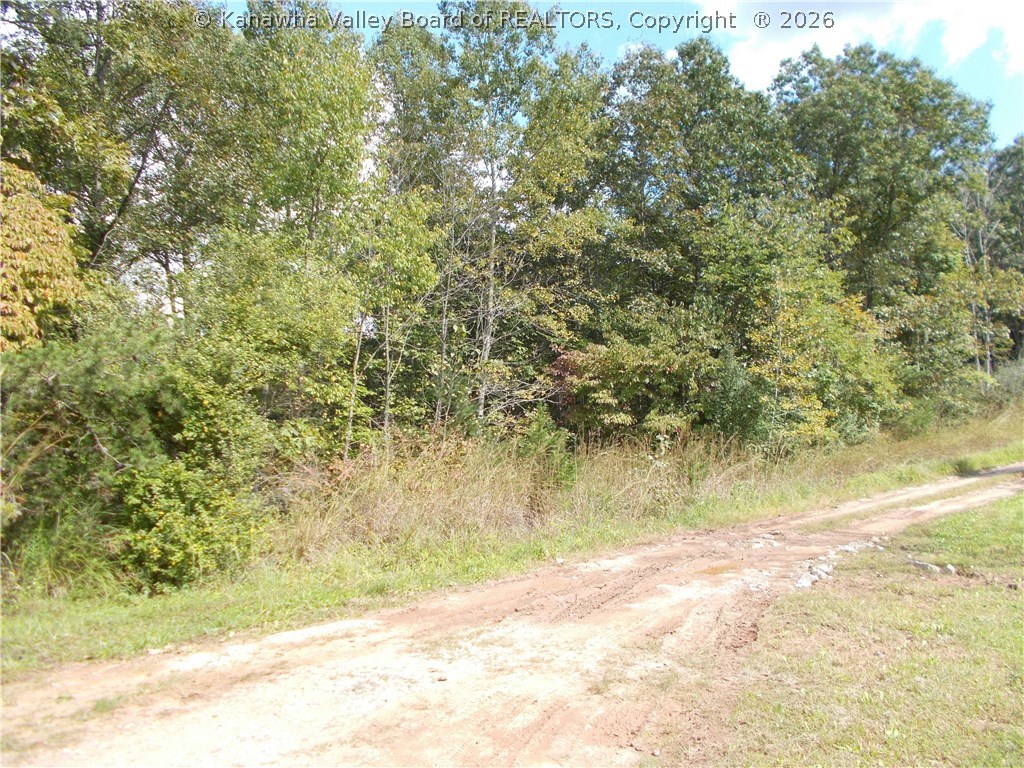 491 Jeffries Road Poca, WV 25159 - Photo 24 of 26 Gallery Image 24
