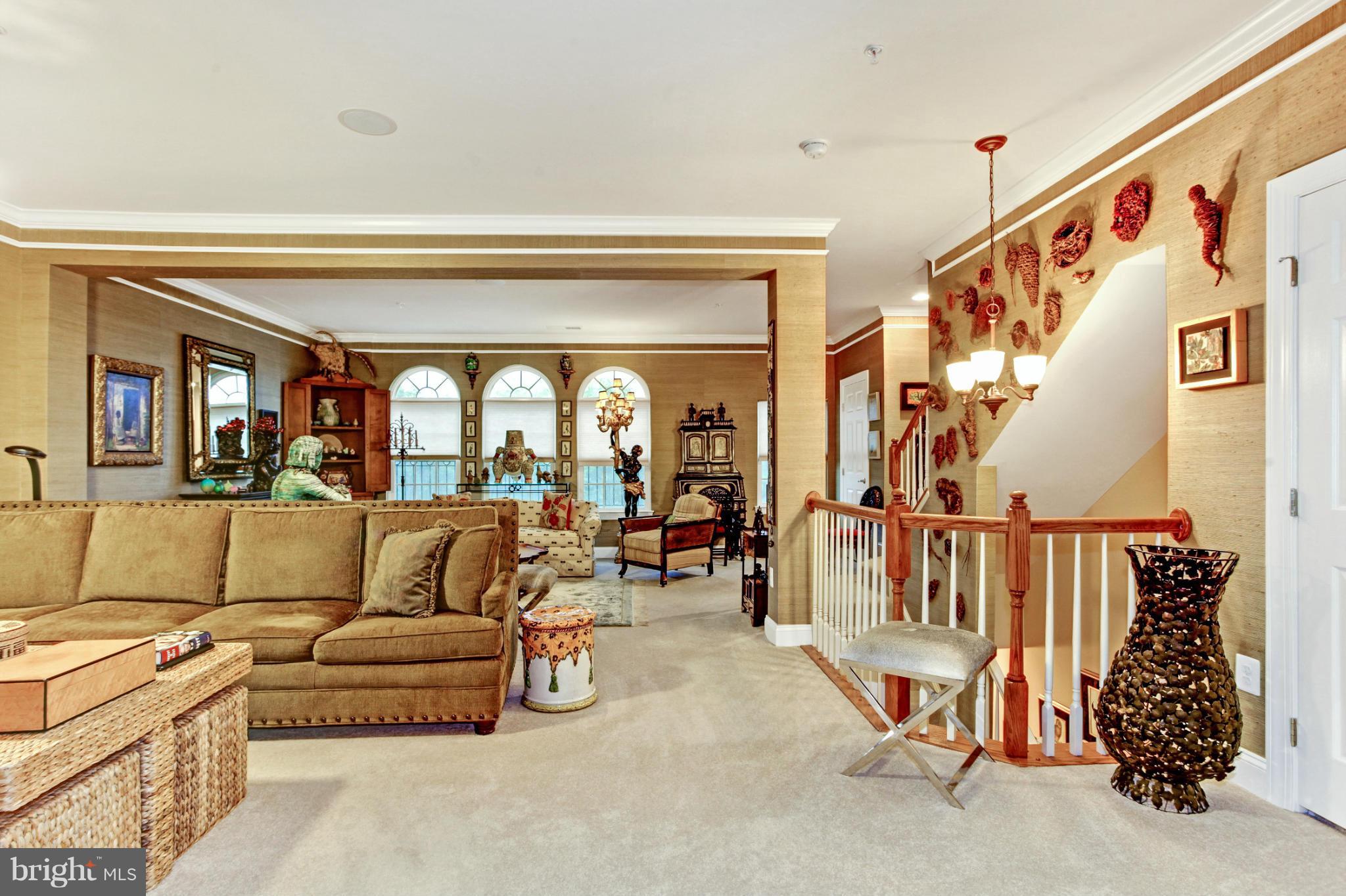 3632 Spring Hollow Lane Frederick, MD 21704 - Photo 5 of 30 a living room with furniture and a potted plant
