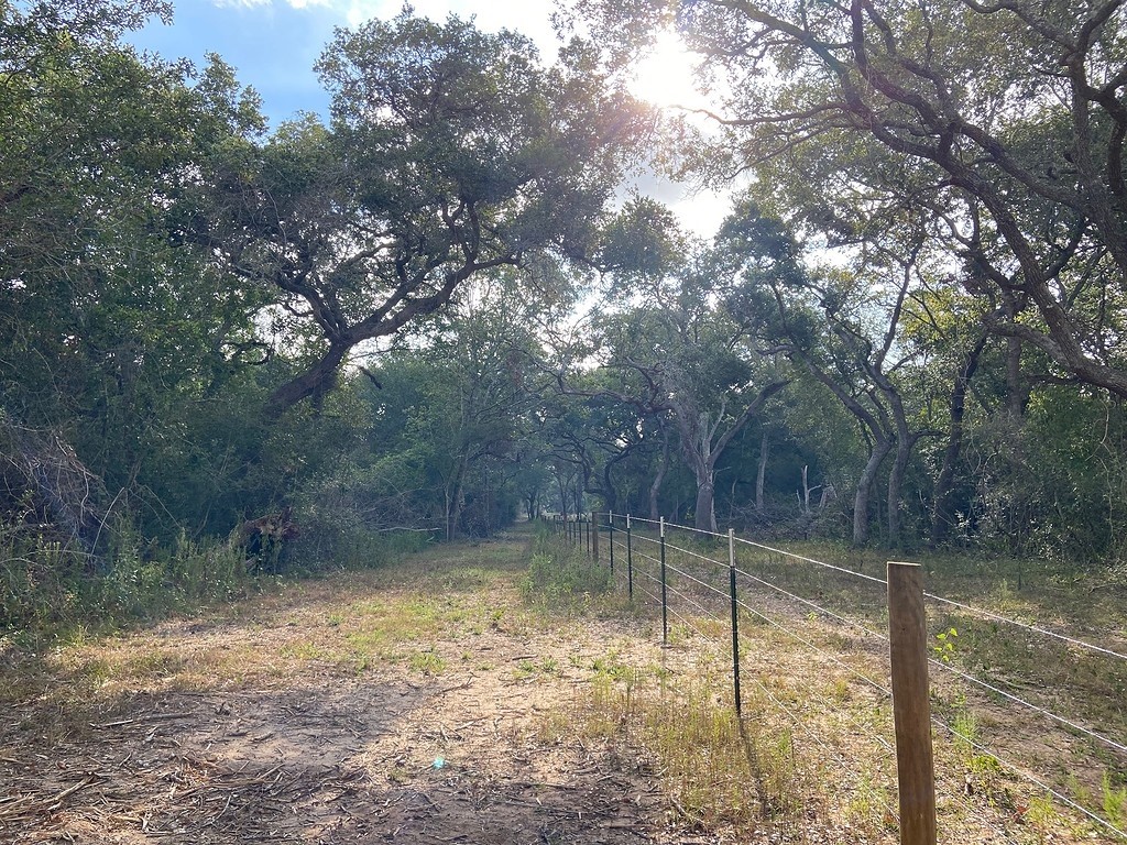 Tbd Loose Cow Road Garwood, TX 77442 - Photo 4 of 8