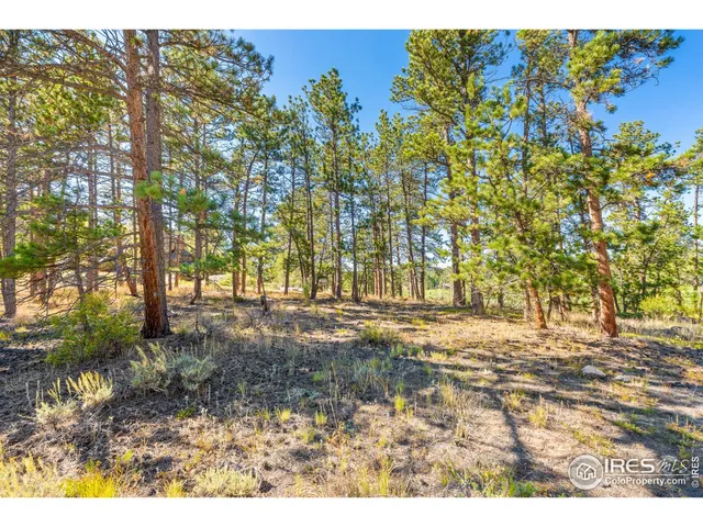a backyard of a house with a yard