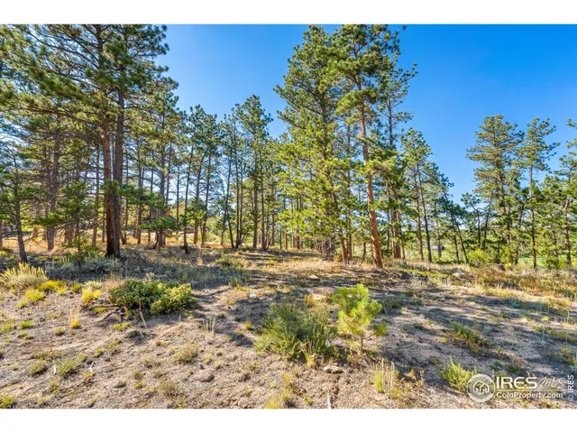 a view of a house with backyard and porch