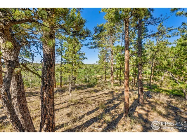 a view of outdoor space and city view