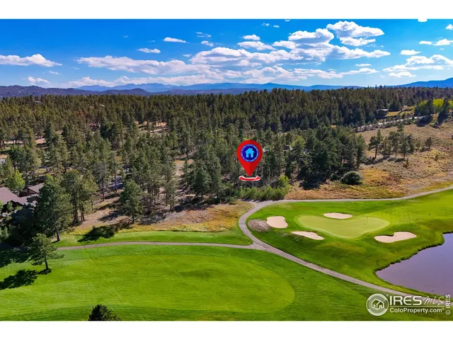 a view of outdoor space with lots of trees