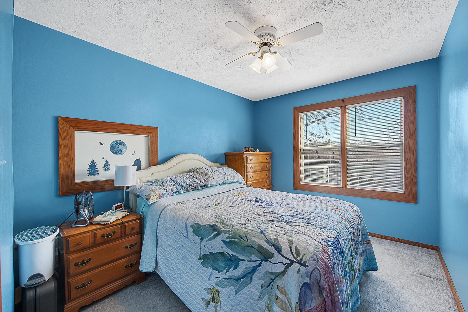 416 South Chestnut Street Le Roy, IL 61752 - Photo 14 of 27